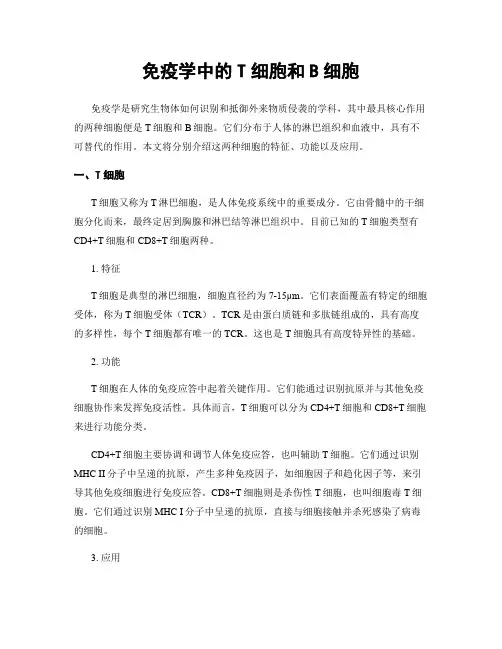 免疫学中的T细胞和B细胞