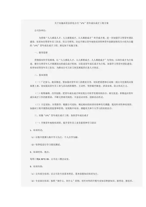 青年成长成才实施方案范文