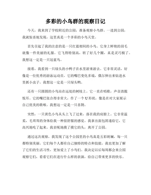 小学三年级作文多彩的小鸟群的观察日记