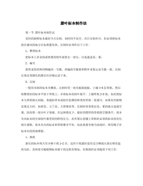 腊叶标本制作法