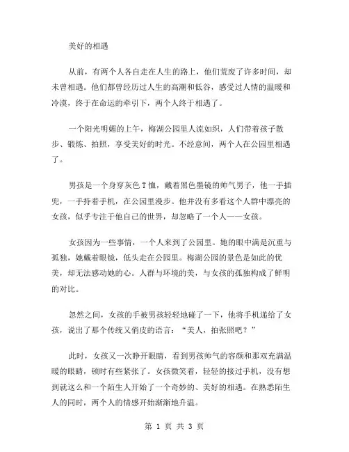 美好的相遇作文范文