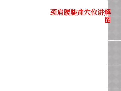颈肩腰腿痛穴位讲解图