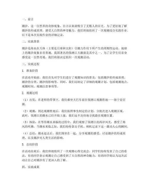 观潮综合实践作业