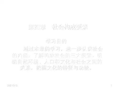 社会学概论-第四章-社会构成要素