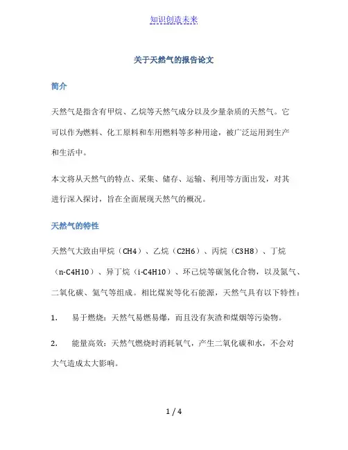 关于天然气的报告论文