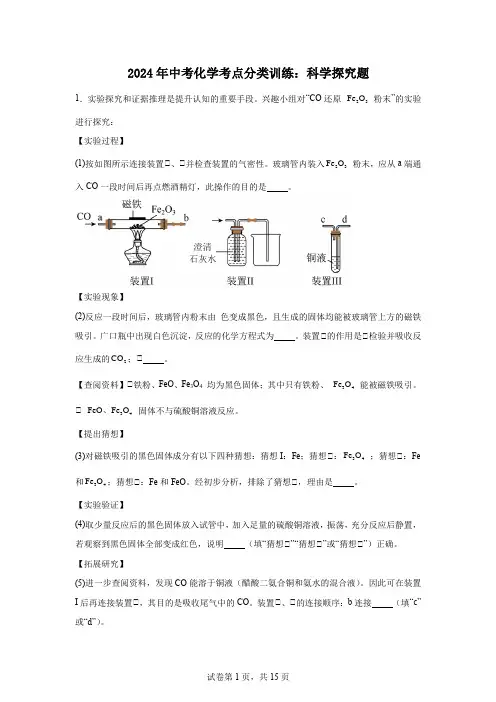 2024年中考化学考点分类训练科学探究题