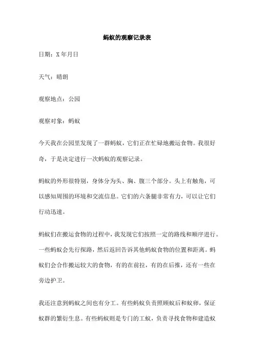 蚂蚁的观察记录表
