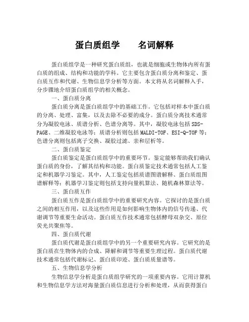 蛋白质组学  名词解释