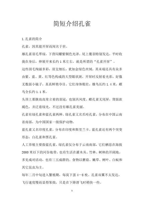 简短介绍孔雀