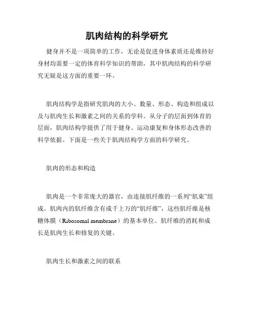 肌肉结构的科学研究