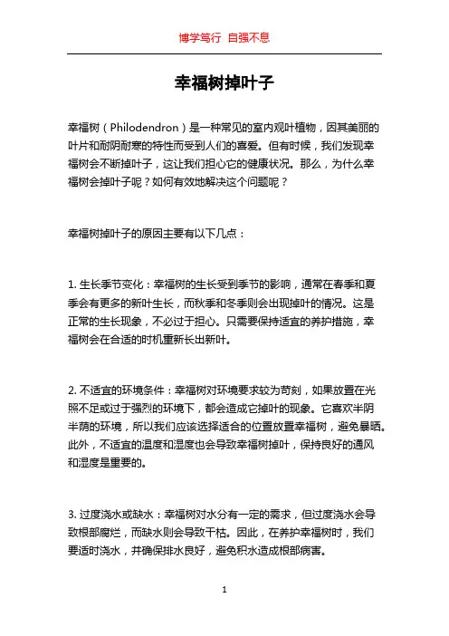 幸福树掉叶子
