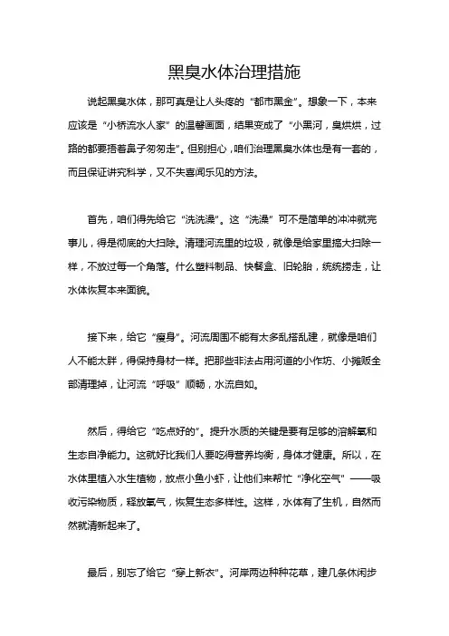 黑臭水体治理措施