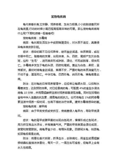 宠物龟疾病