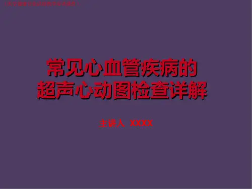 (医学)常见心血管疾病的超声心动图检查详解(医学健康行业讲座教学培训课件)