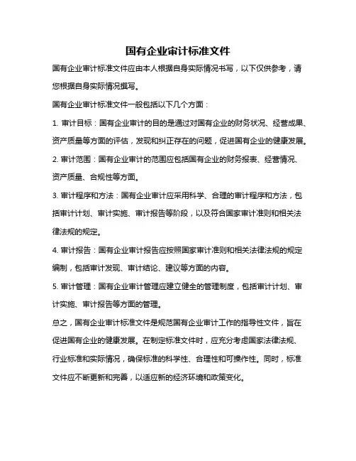 国有企业审计标准文件