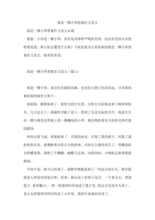 我是一棵小草想象作文范文