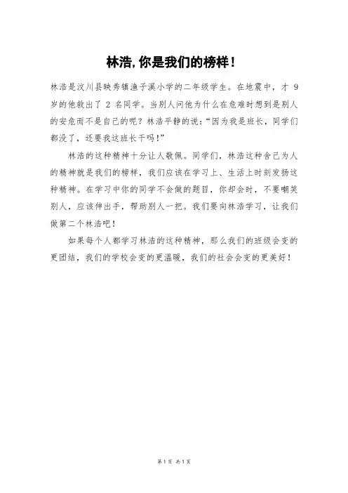 林浩,你是我们的榜样!_四年级作文
