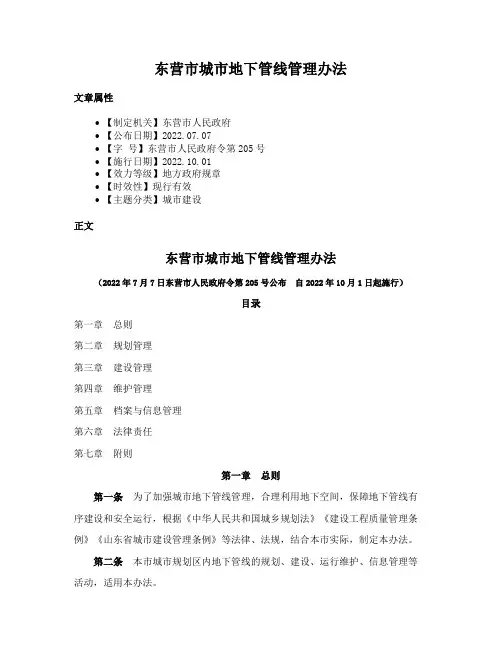 东营市城市地下管线管理办法