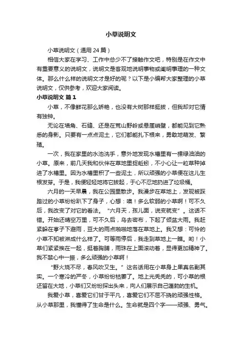 小草说明文（通用24篇）