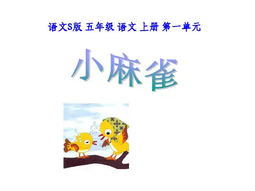 《小麻雀》ppt课件