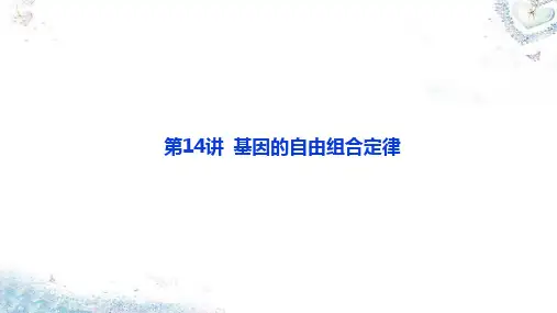 第14讲 基因的自由组合定律-考点一 基因的自由组合定律的分析和实质