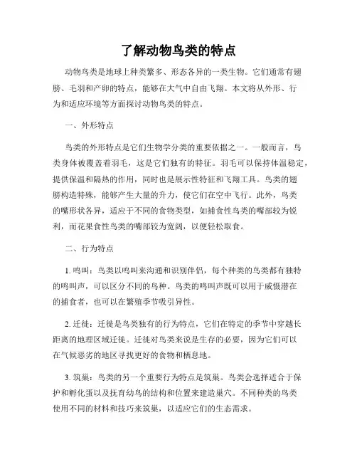 了解动物鸟类的特点