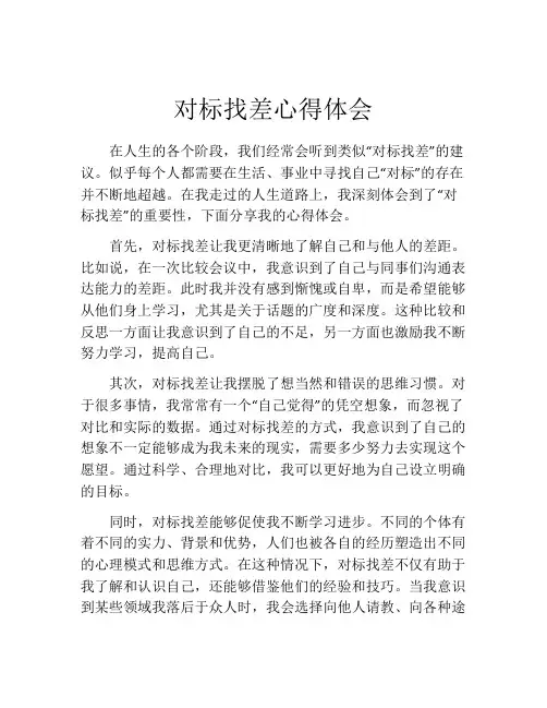 对标找差心得体会