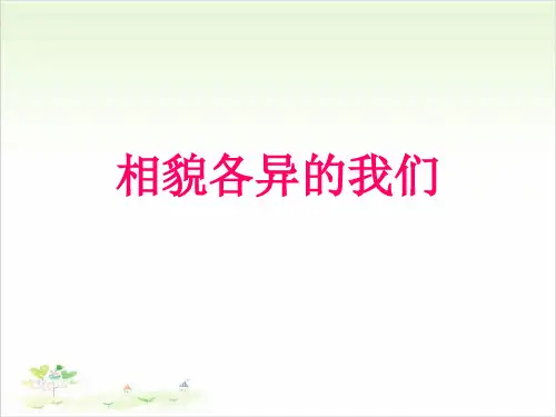 六年级上册公开课- 相貌各异的我们教科版 (42张)课件下载