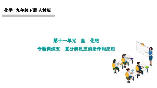 人教版九年级化学下册作业课件 第十一单元 盐 化肥 专题训练五 复分解反应的条件和应用