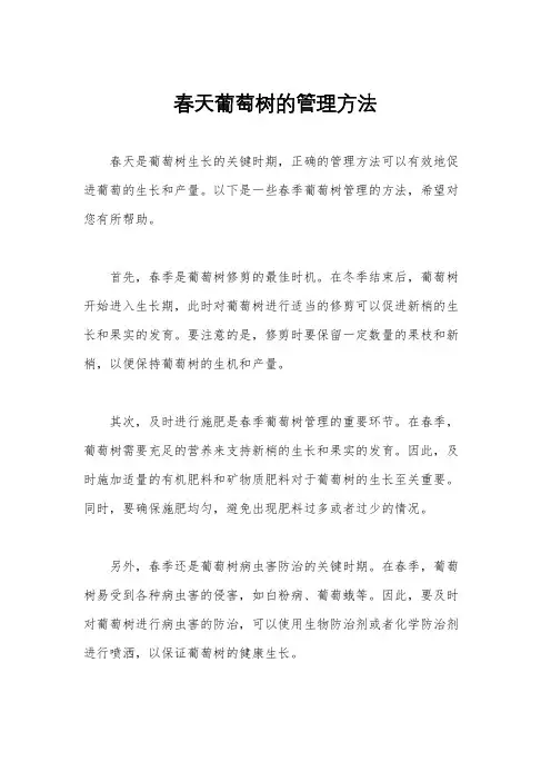春天葡萄树的管理方法