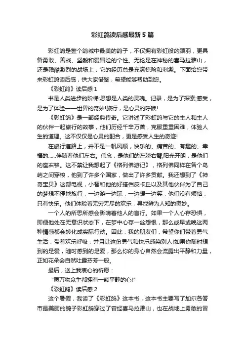 彩虹鸽读后感最新5篇