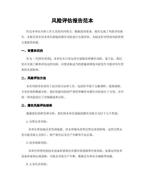 风险评估报告范本