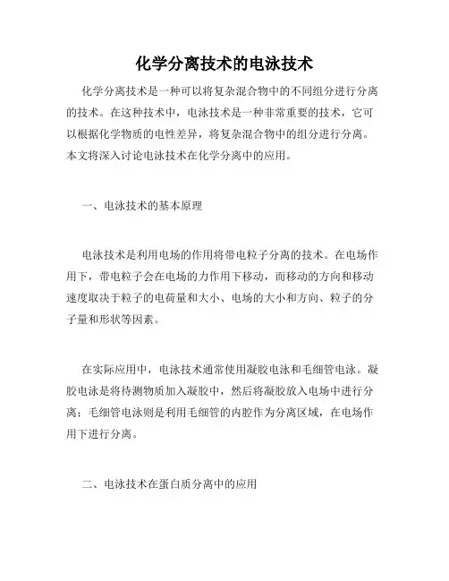 化学分离技术的电泳技术