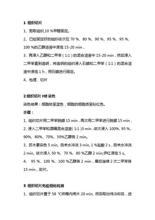 组织切片HE染色与免疫组化