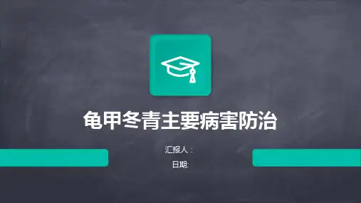 龟甲冬青主要病害防治