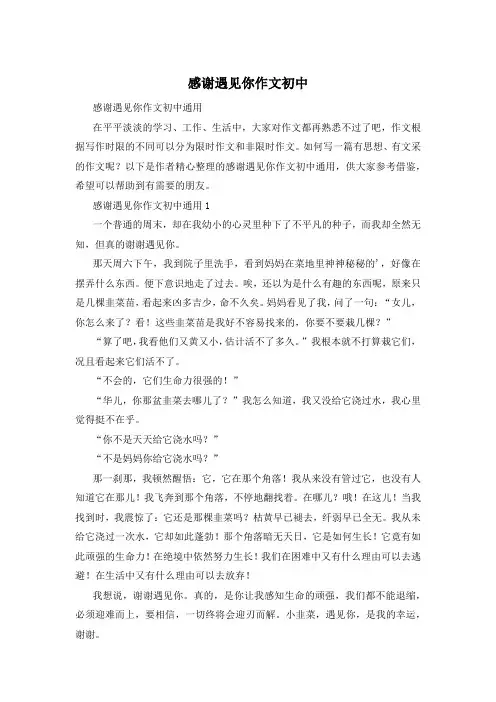 感谢遇见你作文初中