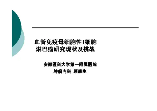 血管免疫母细胞性T细胞淋巴瘤研究现状及挑