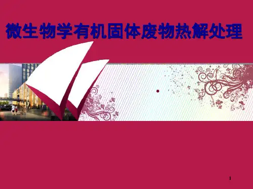 微生物学有机固体废物热解处理课件知识