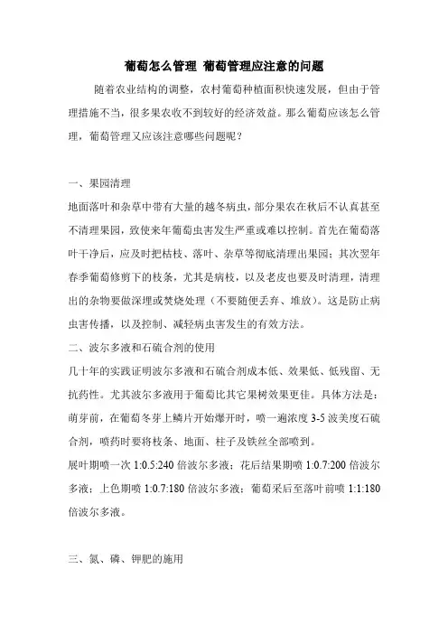 葡萄怎么管理 葡萄管理应注意的问题