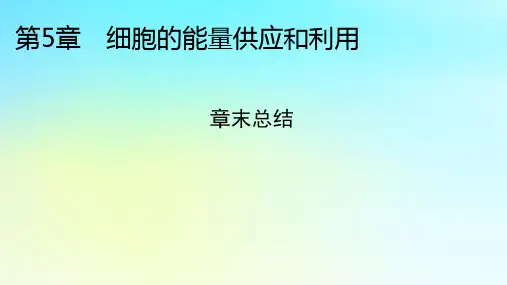 高中生物第5章细胞的能量供应和利用章末总结新人教版必修1