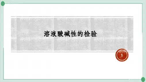 实验活动7溶液酸碱性的检验PPT课件九年级化学人教版下册精品课件