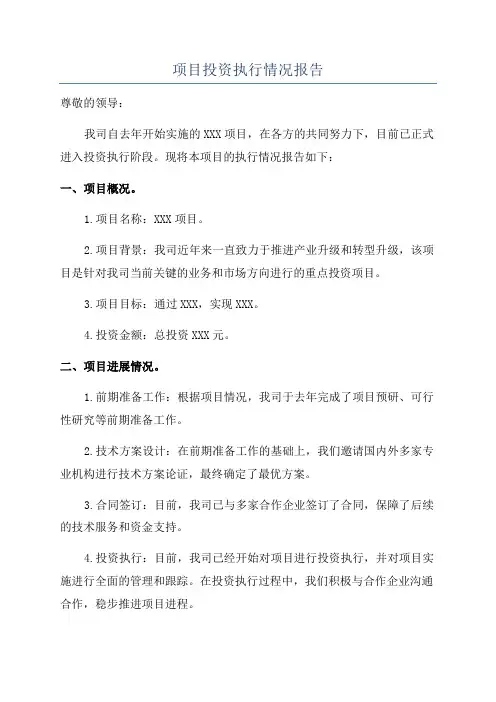 项目投资执行情况报告