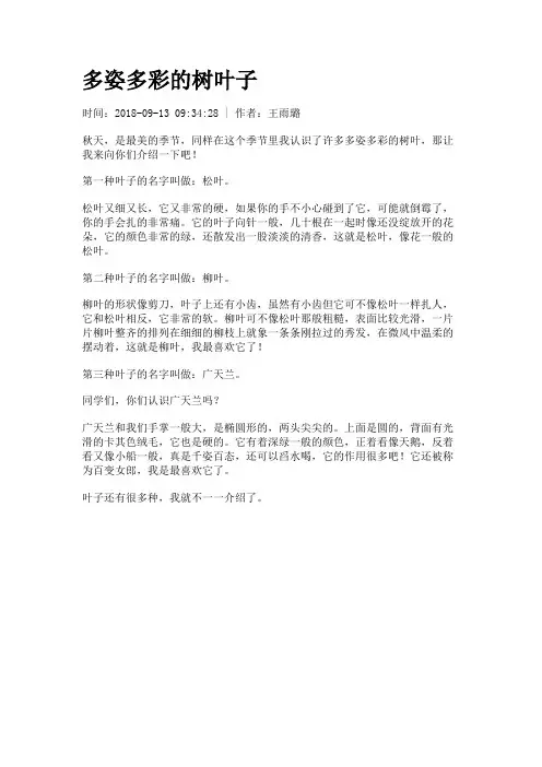 多姿多彩的树叶子