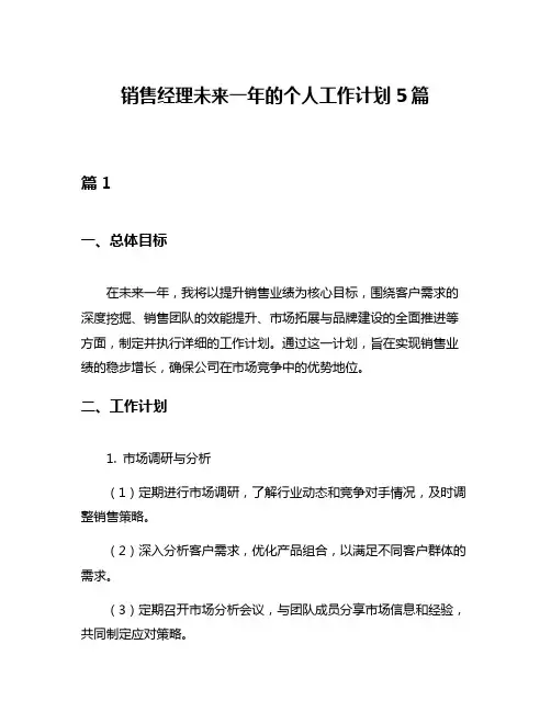 销售经理未来一年的个人工作计划5篇