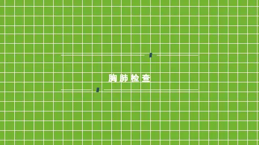 胸肺体查_精品文档