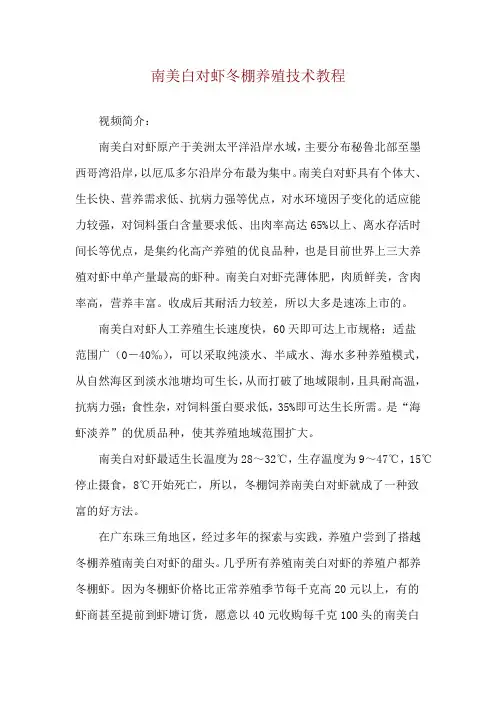 南美白对虾冬棚养殖技术教程