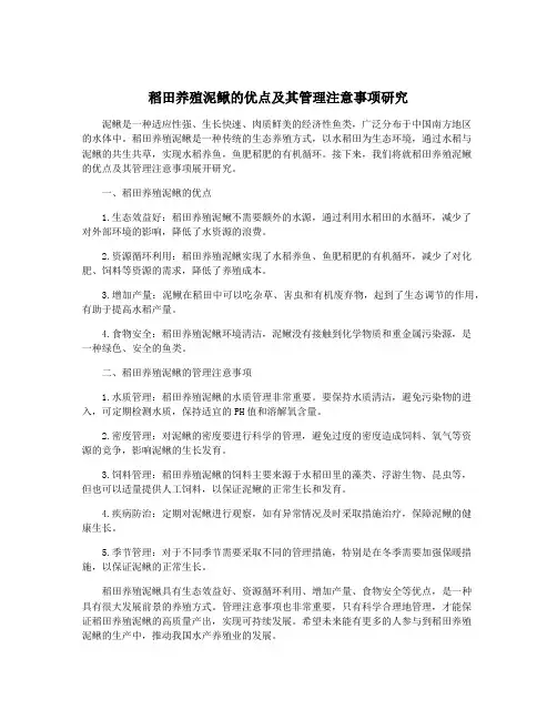 稻田养殖泥鳅的优点及其管理注意事项研究