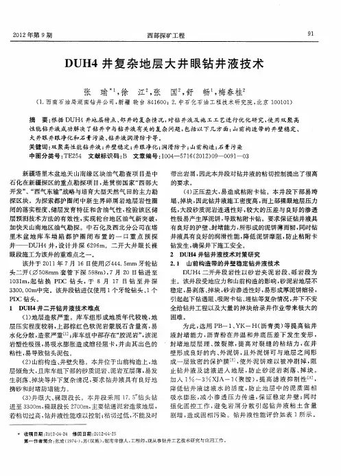 DUH4井复杂地层大井眼钻井液技术