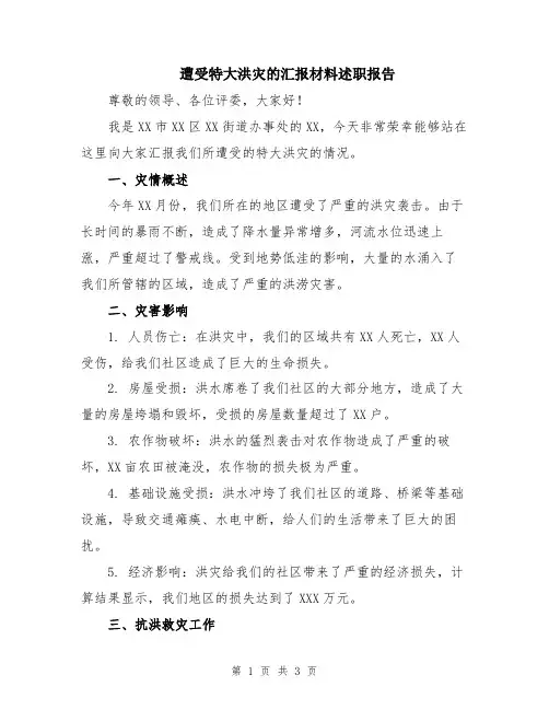 遭受特大洪灾的汇报材料述职报告