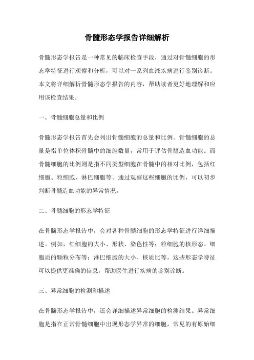 骨髓形态学报告详细解析